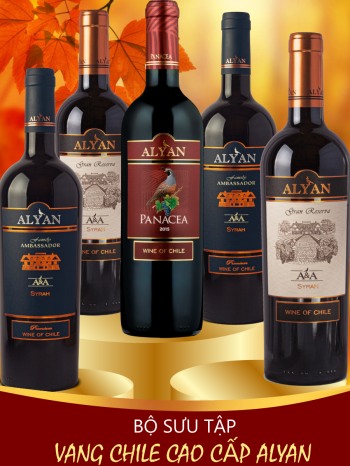Bộ Sưu Tập Vang Chile Cao Cấp ALYAN