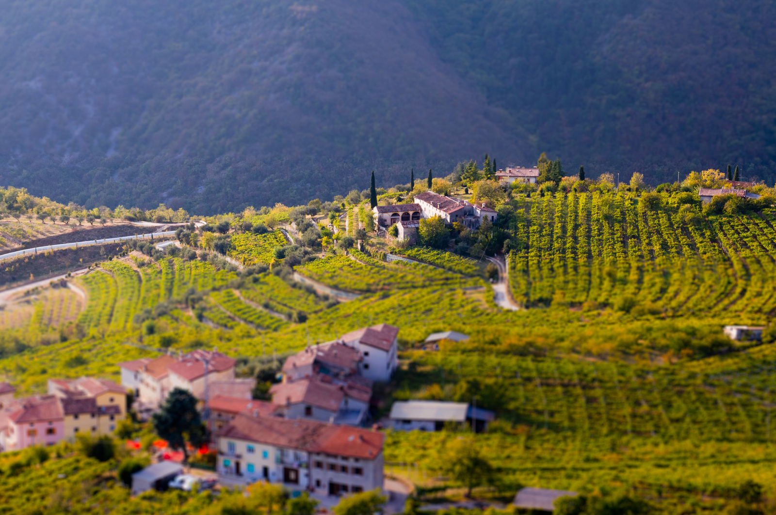 ruou-vang-amarone-valpolicella