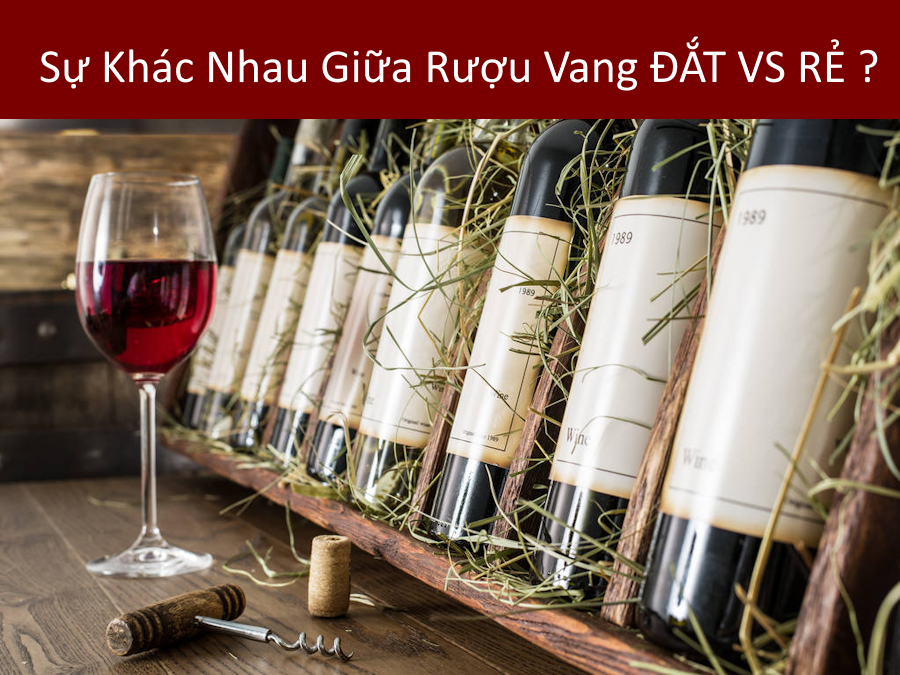 Sự Khác Nhau Giữa Rượu Vang Đắt Tiền và Rượu Vang Giá Rẻ: Tìm Hiểu Từ Góc Nhìn Chuyên Gia Rượu Vang