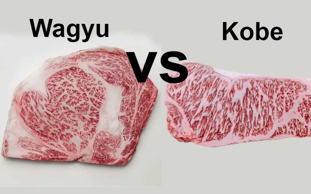 sự khác nhau giữa bò kobe-wagyu