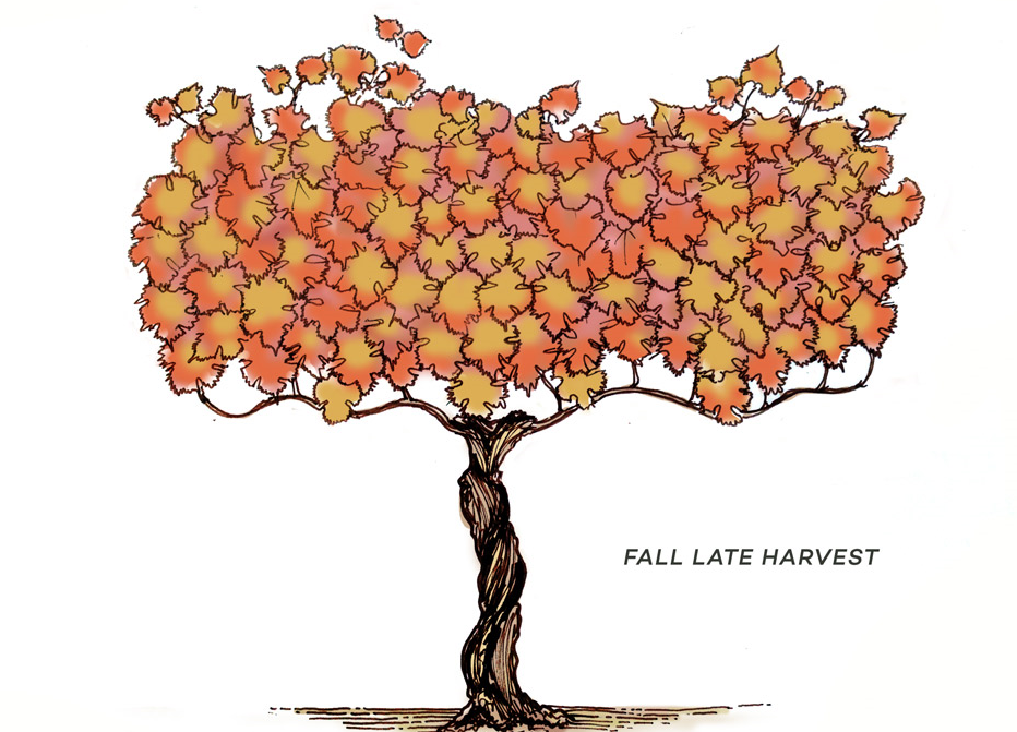 lat-harvest
