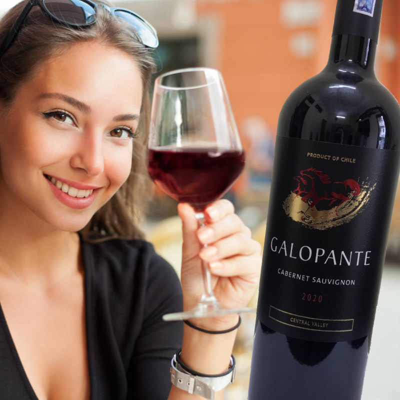 Rượu vang Chile Khuyến Mãi 50%