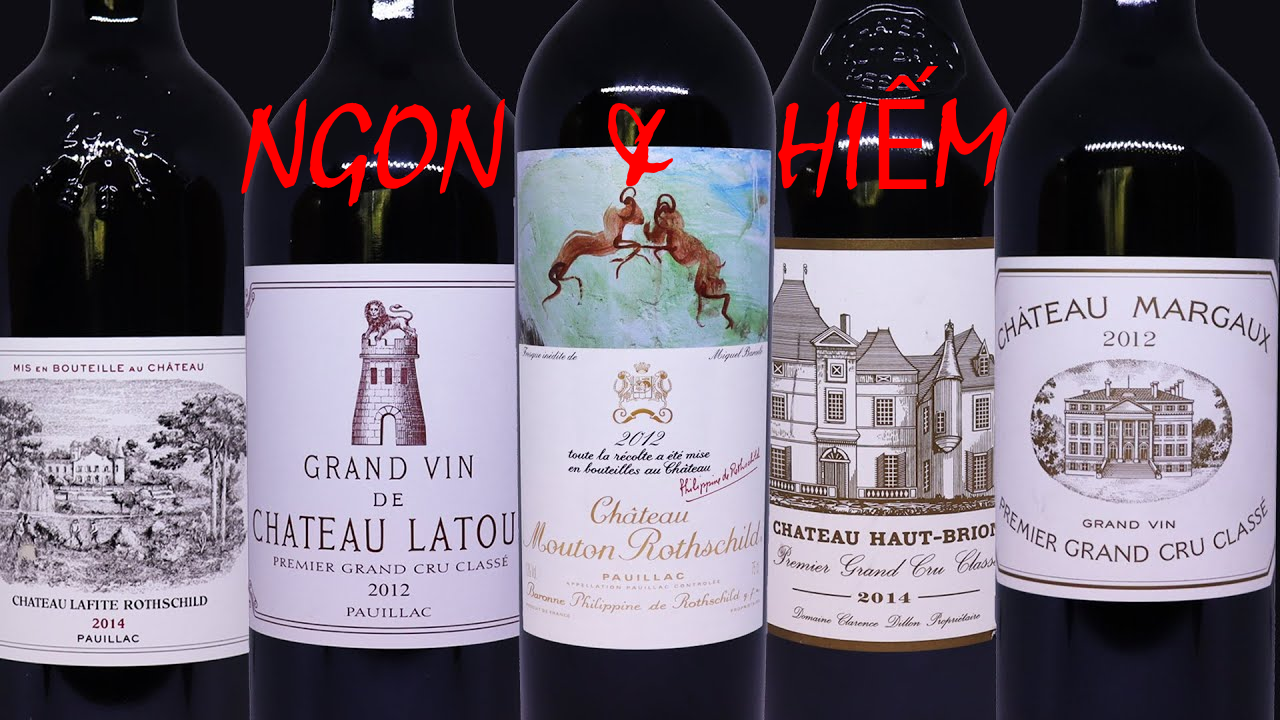 RUOU-VANG-NGON-HIE-TOP-WINE
